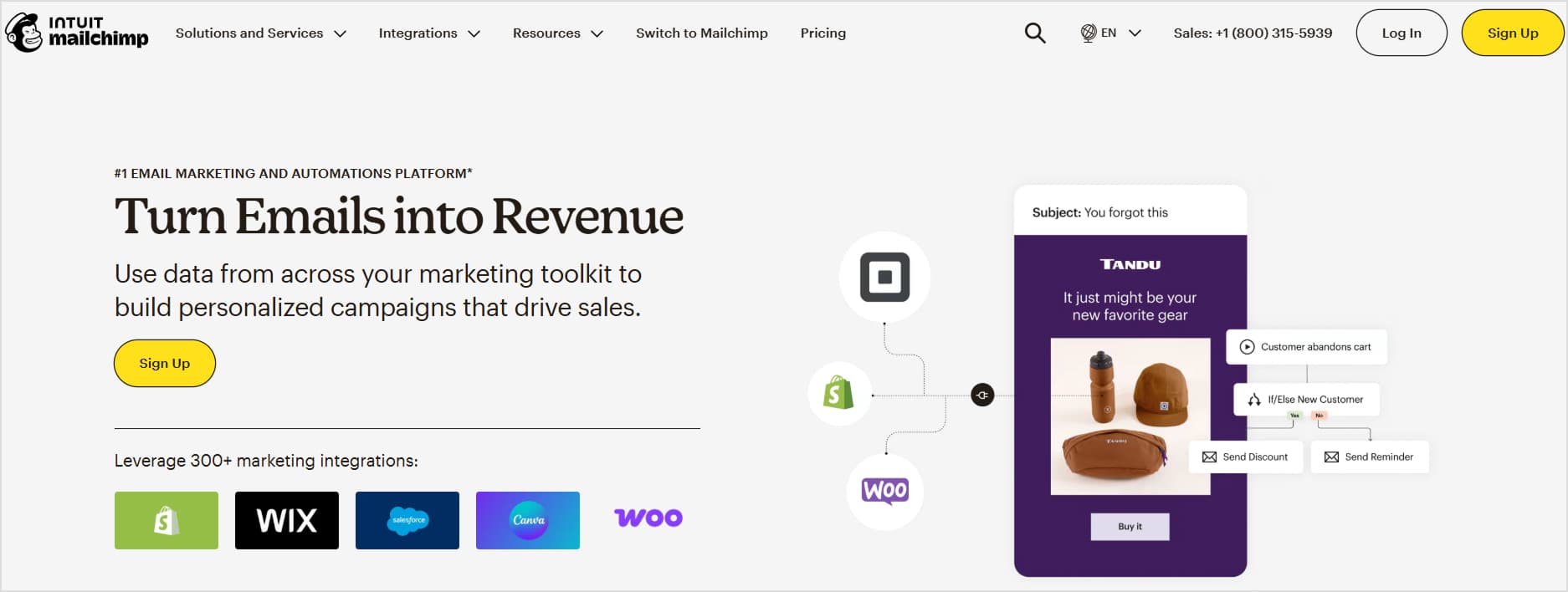 Mailchimp Website