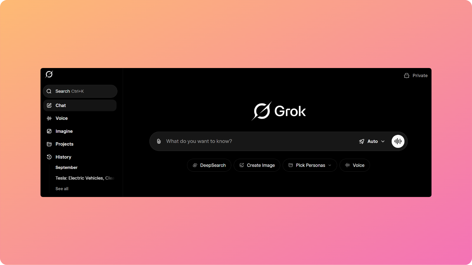 Grok AI interface