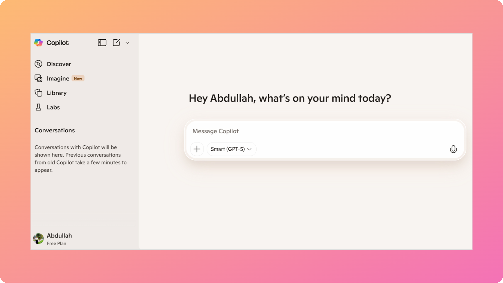 Copilot main interface