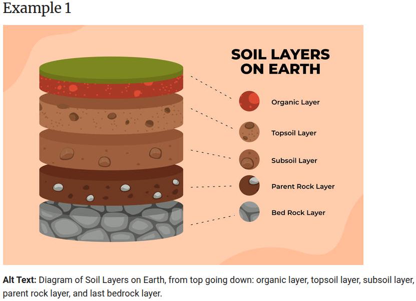 Diagram of Soil Layers on Earth, from top going down: organic layer, topsoil layer, subsoil layer, parent rock layer, and last bedrock layer, as explained by Harvard.
