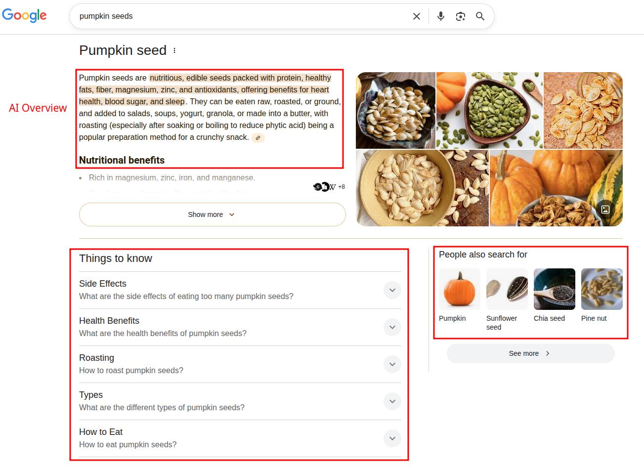 Screenshot of Google SERPs for 'pumpkin seeds', including AI Overview, 'People also search for' box, and 'Things to know.'