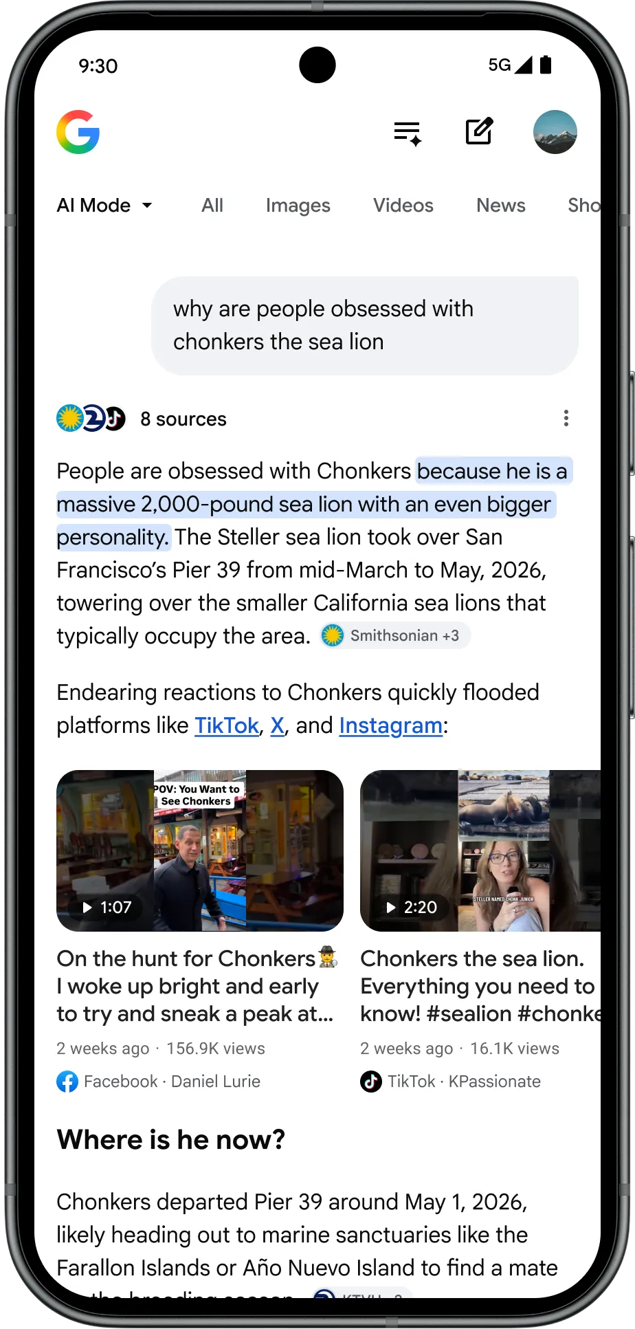 Google's Chonkers the sea lion example for insights from other creators in the AI Overview carousel.