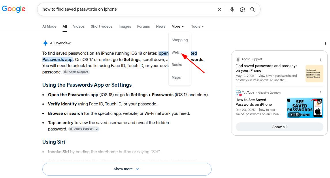 How to find and use the 'Web' filter to remove AI Overviews.